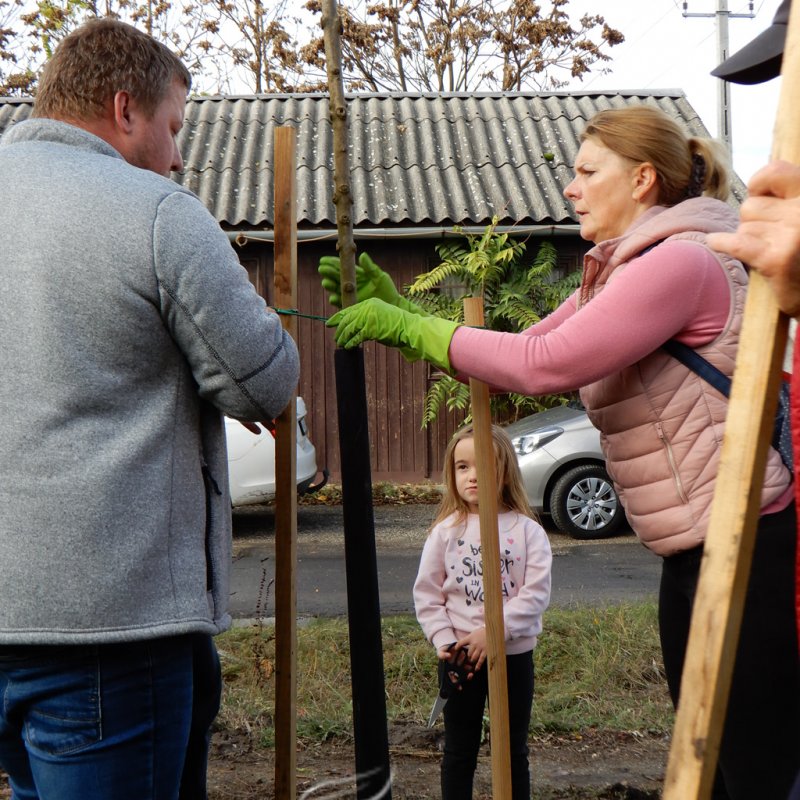 Közösségi faültetés Berettyóújfaluban 25